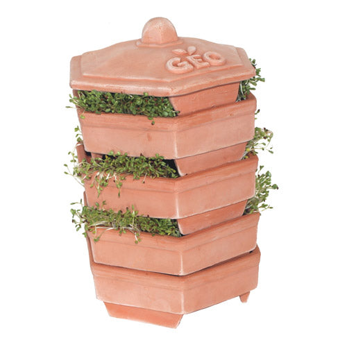 Geo Terracotta Sprouter