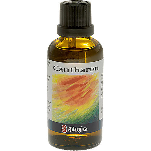 Allergica Cantharon