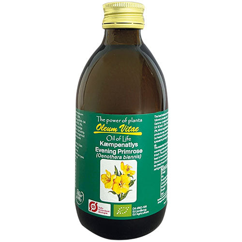 Oil Of Life Kæmpenatlysolie    økologisk