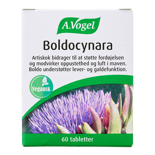 Veganska Vogel Boldocynara