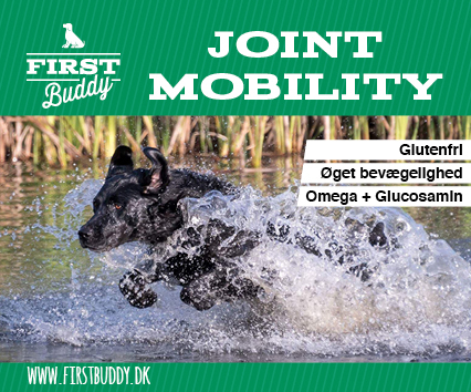 500 Gram Joint Mobility Til Hunde   Naturligt Glucosamin