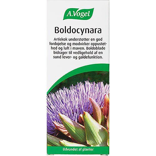 Boldocynara   100 Ml